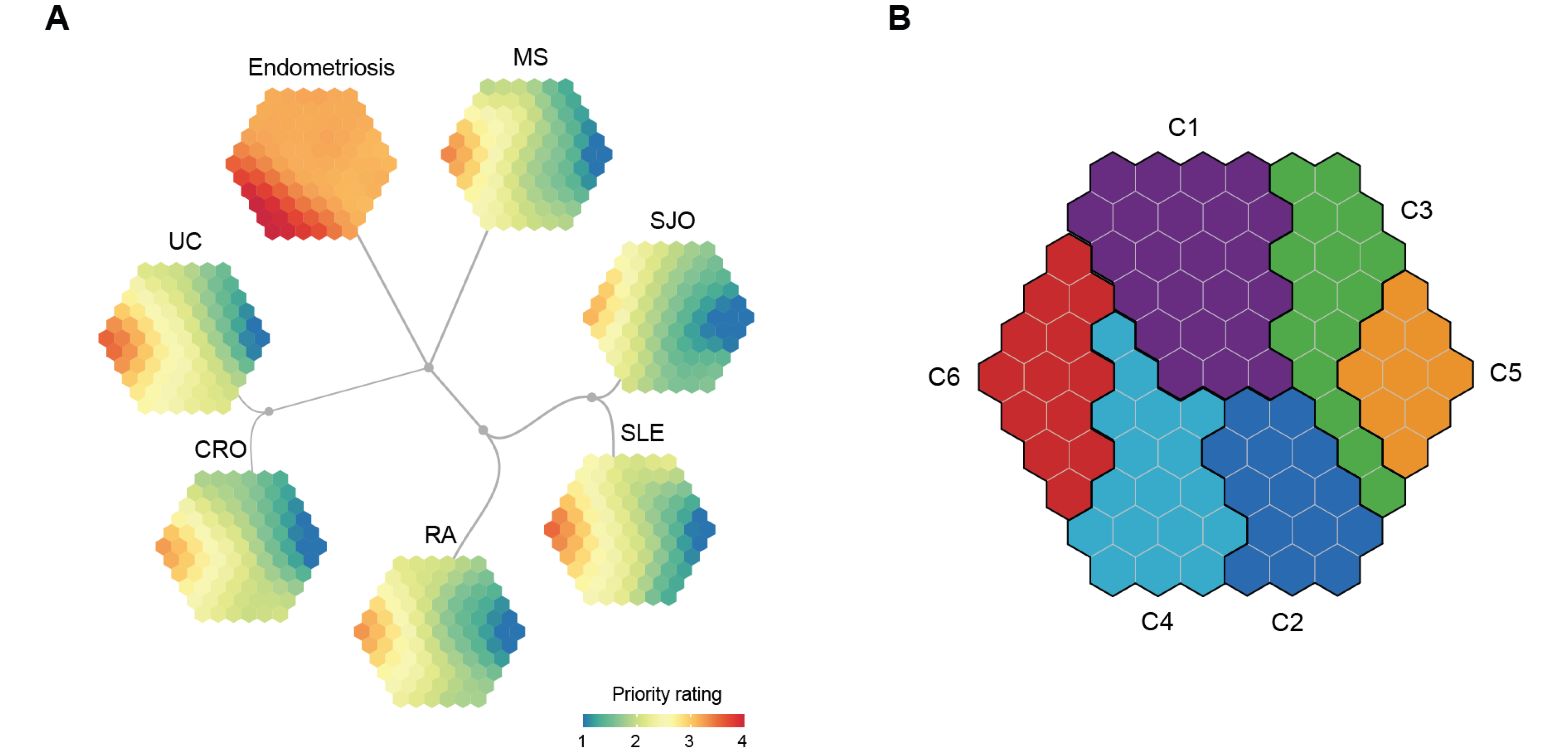 Identification of shared and distinct target gene clusters. (A) Each map illustrates illustrating a disease-specific gene prioritisation profile, while consensus neighbour-joining tree captures the similarity of inter-disease prioritisation profiles. (B) Target gene clusters. The prioritisation map divided into 6 clusters (C1-C6), each covering continuous hexagons as color-coded.