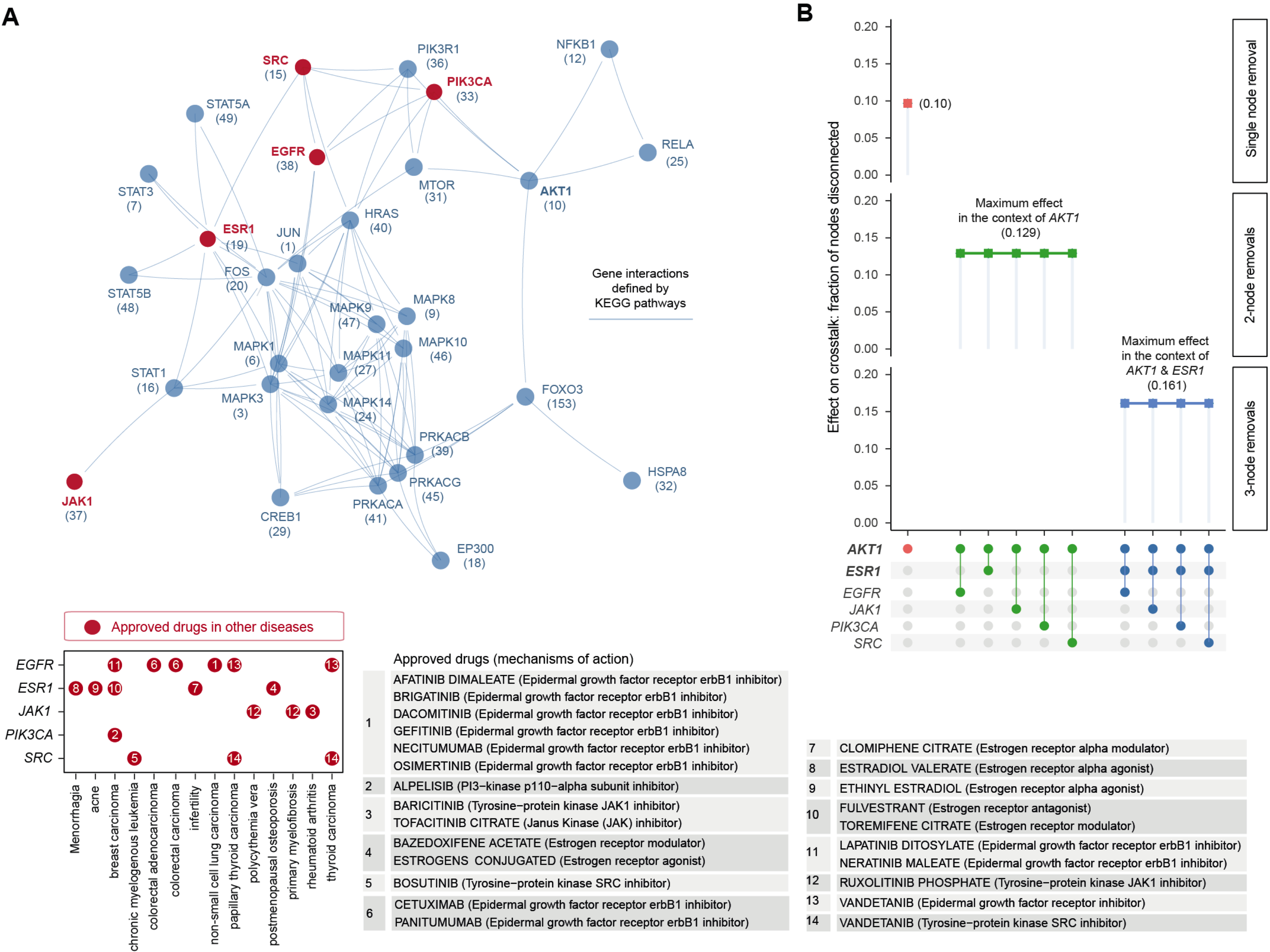 Pathway crosstalk-based attack analysis identifies critical genes and repurposes licensed medications. (A) Pathway crosstalk identified by integrating target prioritisation information with knowledge of gene interactions. Nodes are labelled by gene symbols together with priority rank. Crosstalk genes that are currently targeted by approved drugs in other disease indications are highlighted in red. These approved drug target genes (y-axis) and disease indications (x-axis) are detailed beneath, with dots indexed in number and referenced on the right panel showing information on drugs and mechanisms of action. (B) Effect of node removals on the crosstalk. Top: the single-node effect maximised by removing ATK1, the maximum effect of removing an additional approved drug target in the context of AKT1, and the maximum effect of removing an additional approved drug target in the context of AKT1 and ESR1. Bottom: node removals are indicated by colored circles.