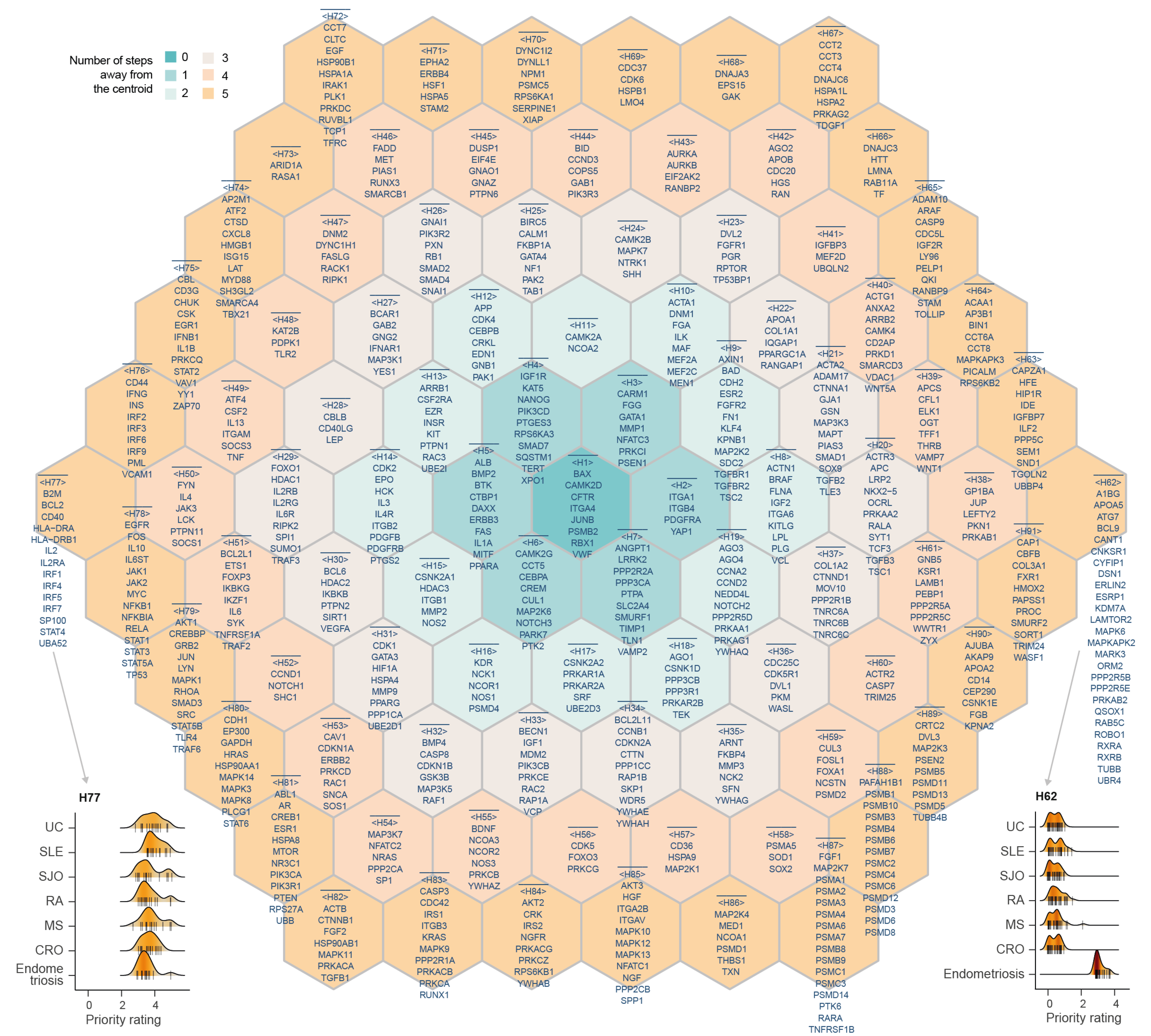 Illustration of the supra-hexagonal map, consisting of 91 hexagons indexed circularly outward (H1-H91; such circular indexing is indicated in colors). Also displayed are genes in each hexagon. Beneath are ridge plots for two hexagons, showing density of priority rating for genes in H77 (bottom-left) and in H62 (bottom-right). CRO: Crohn's Disease; MS: Multiple Sclerosis; RA: Rheumatoid Arthritis; SLE: Systemic Lupus Erythematosus; SJO: Sjögren’s syndrome; UC: Ulcerative Colitis.