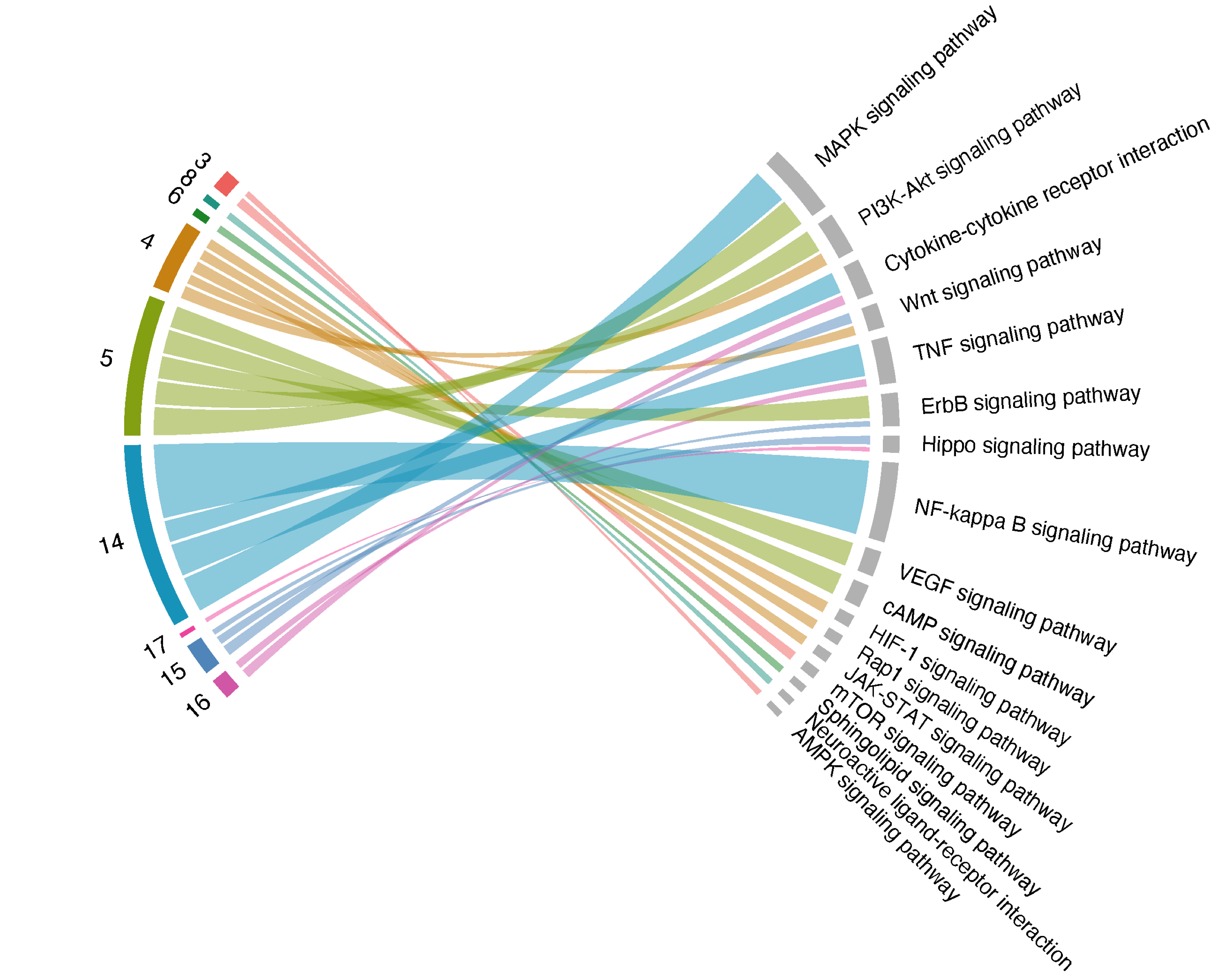 Chord plot of up to 5 the most enriched pathways (FDR<0.05; the left-half part) per module (right-half part), with link thickness proportional to the enrichment Z-scores.