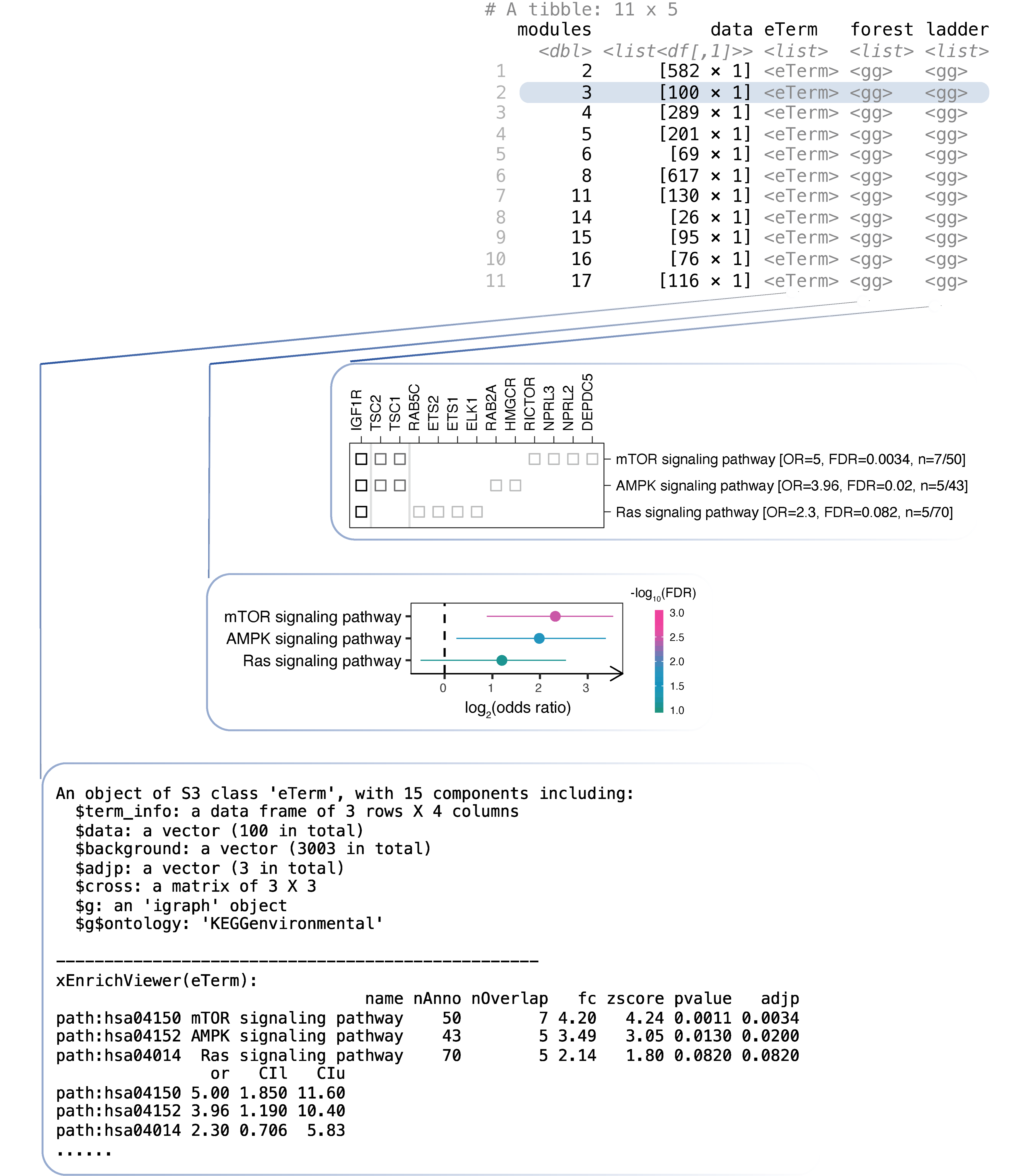 Pathway analysis of network modules. Top: a tibble designed to capture module-centric information, including input data and the results sequentially generated along the analysis. The results for module 3 are illustrated including the eTerm object, the forest plot, and the ladder plot