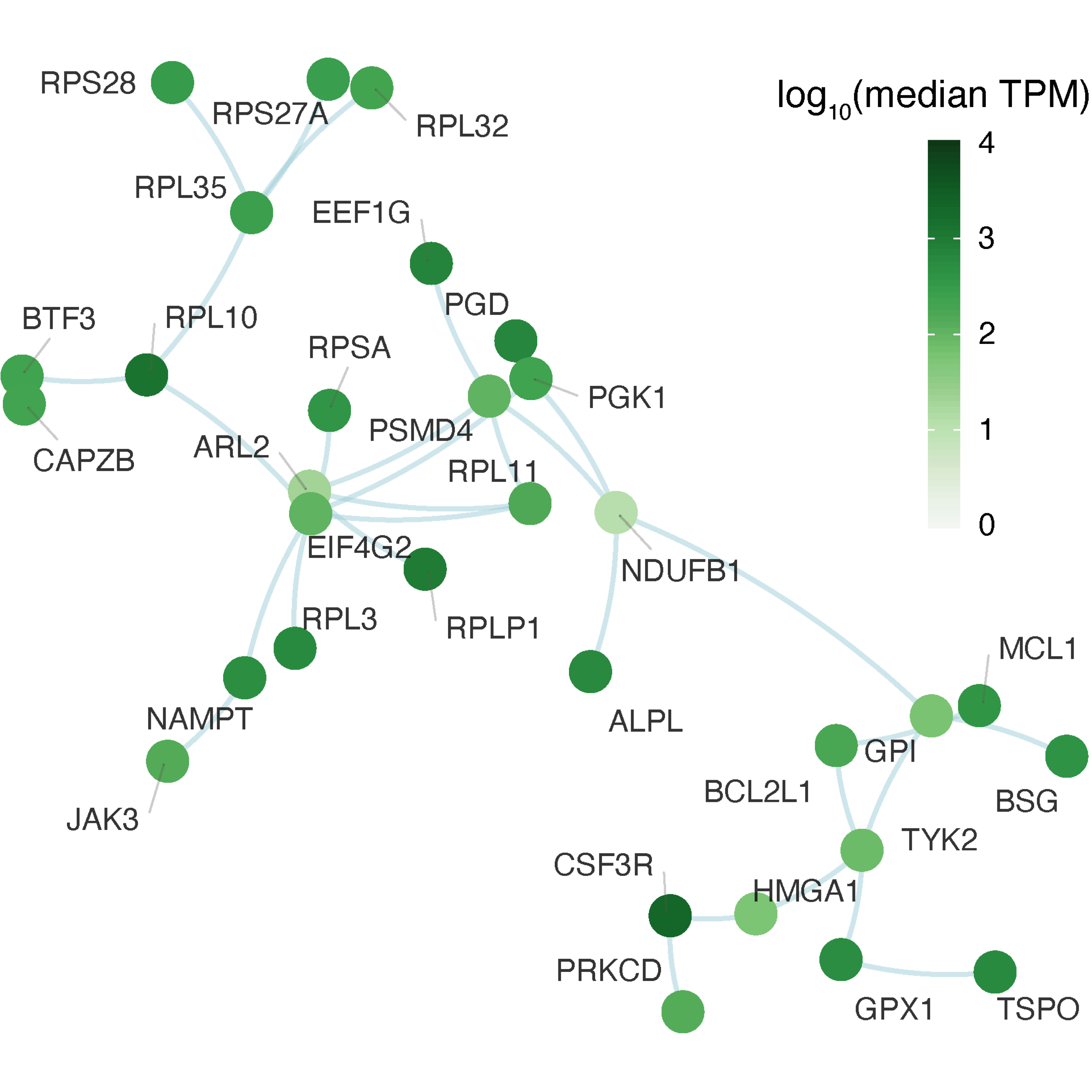 Illustration of a subnetwork identified from the parent network, ensuring the subnetwork has a desired number (here ~30) of interconnected nodes/genes that tend to be highly expressed in the whole blood. Nodes colored by the median expression level, that is, transcripts per million (TPM).