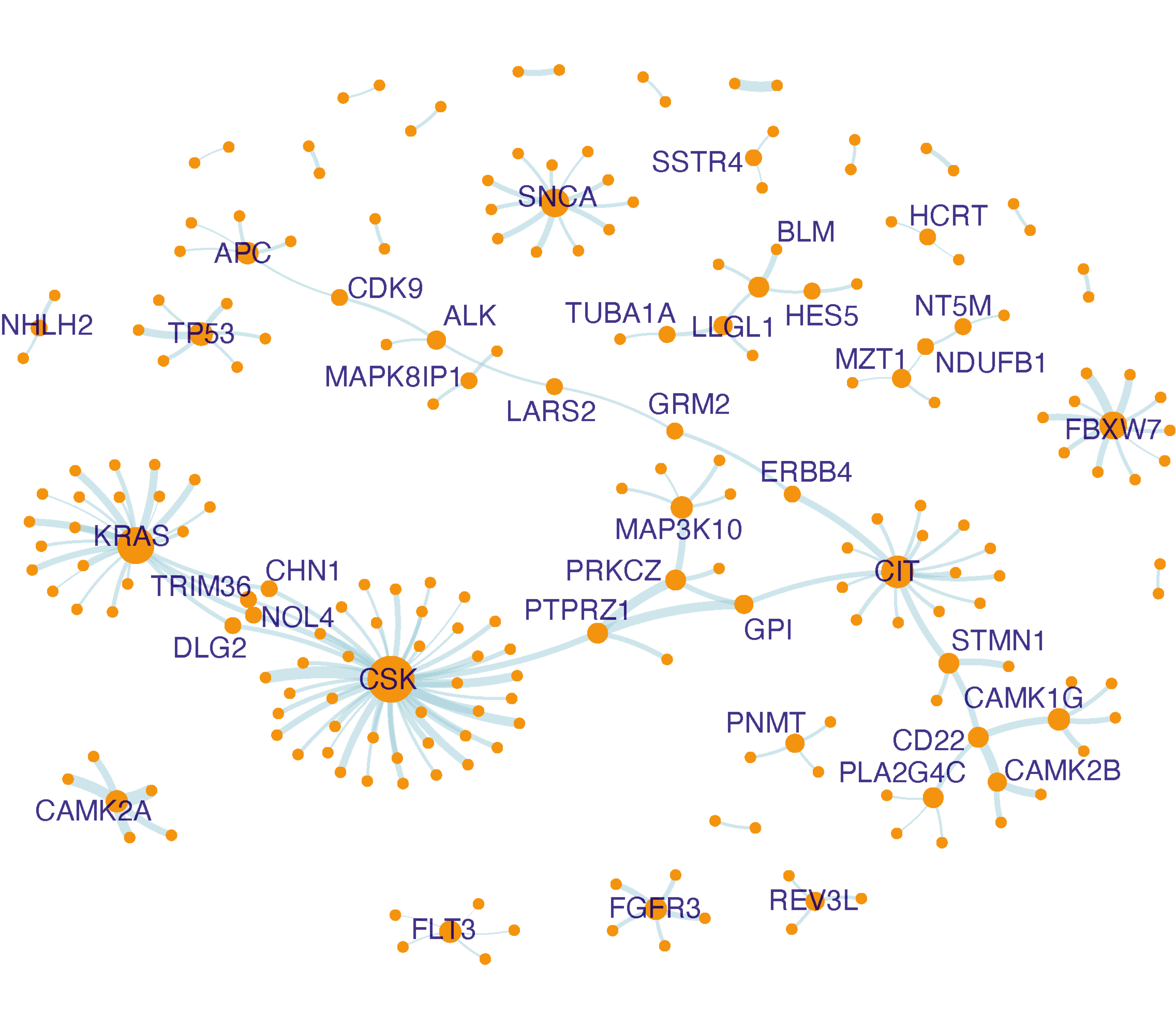 Network visualisation of interactions abundant in cluster 5. Nodes sized by degree (i.e. the number of neighbors), and if having two or more neighbors, also labelled.