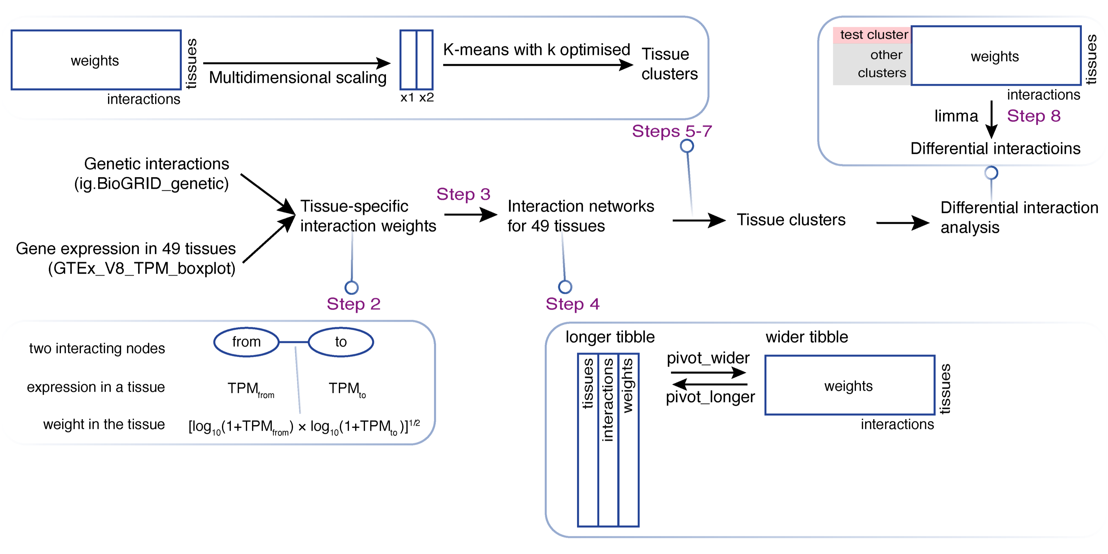 Schematic illustration of tissue clustering and differential analysis in lights of genetic interactions. Key steps labelled that are detailed below.
